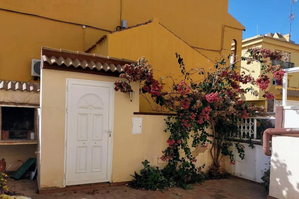 Mar Azul Adosado, Patio Y Solarium Torrevieja Exterior foto
